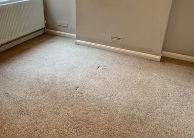 Carpet Cleaning West London