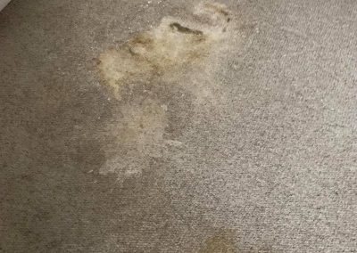 End Of Tenancy Carpet Cleaning London
